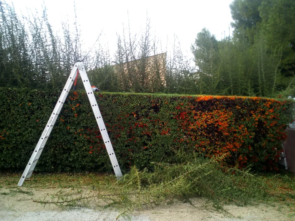 entretien de jardin
