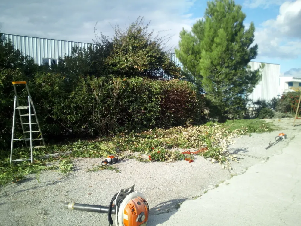 Entretien de jardin près de Salon-de-Provence