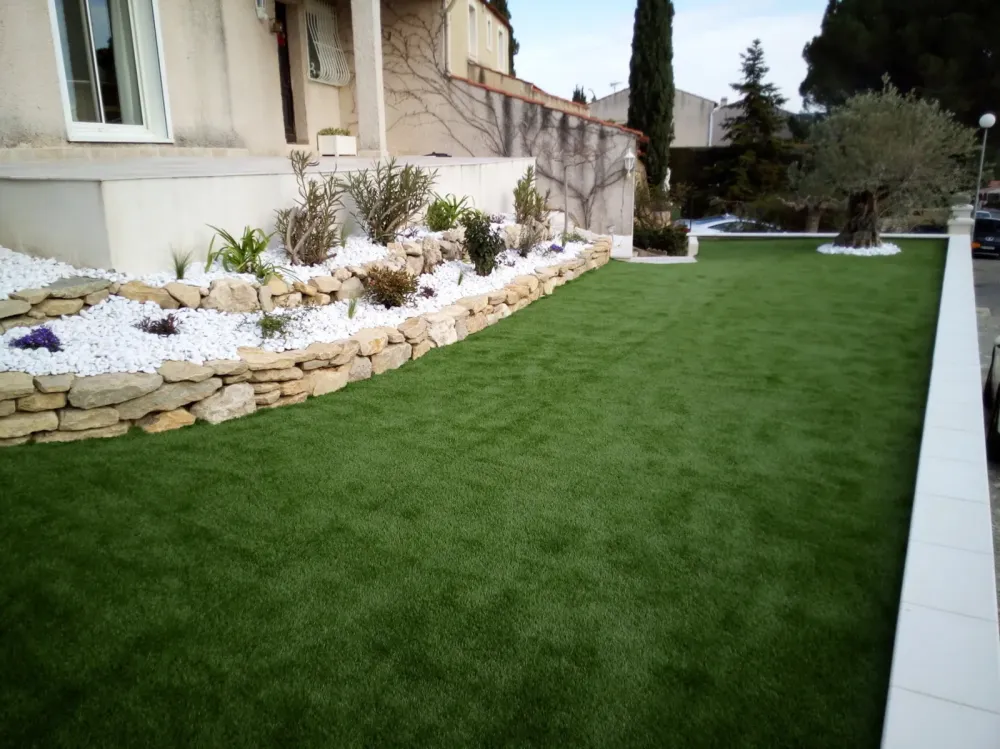 herbe  gazon