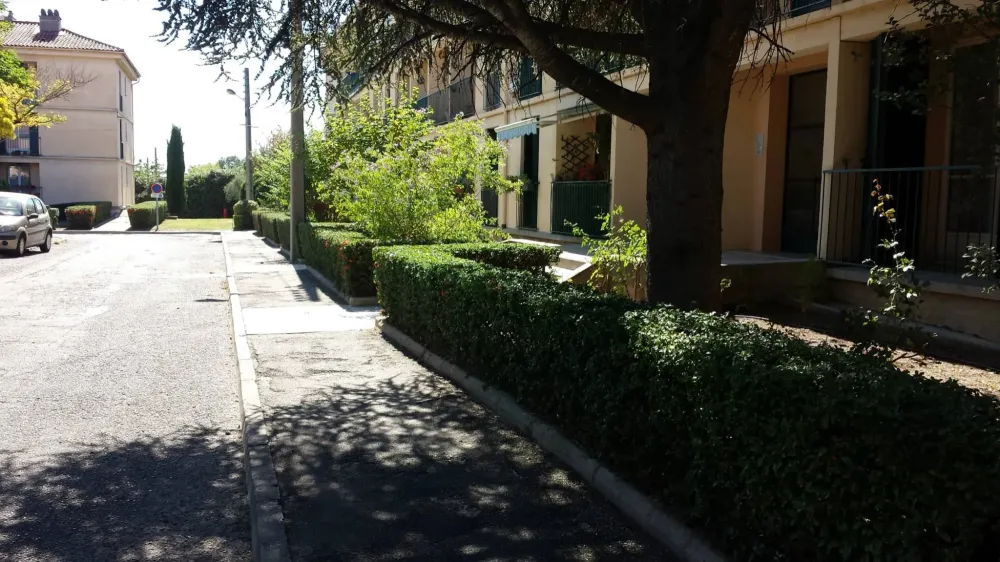 buisson aprèswebp